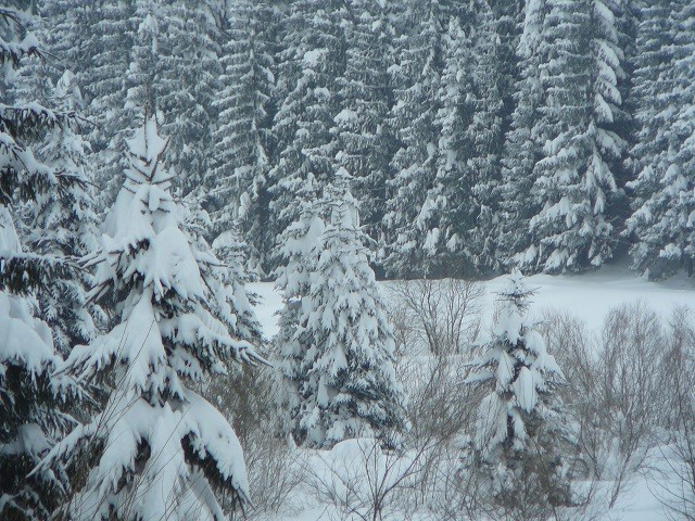 Gorski kotar